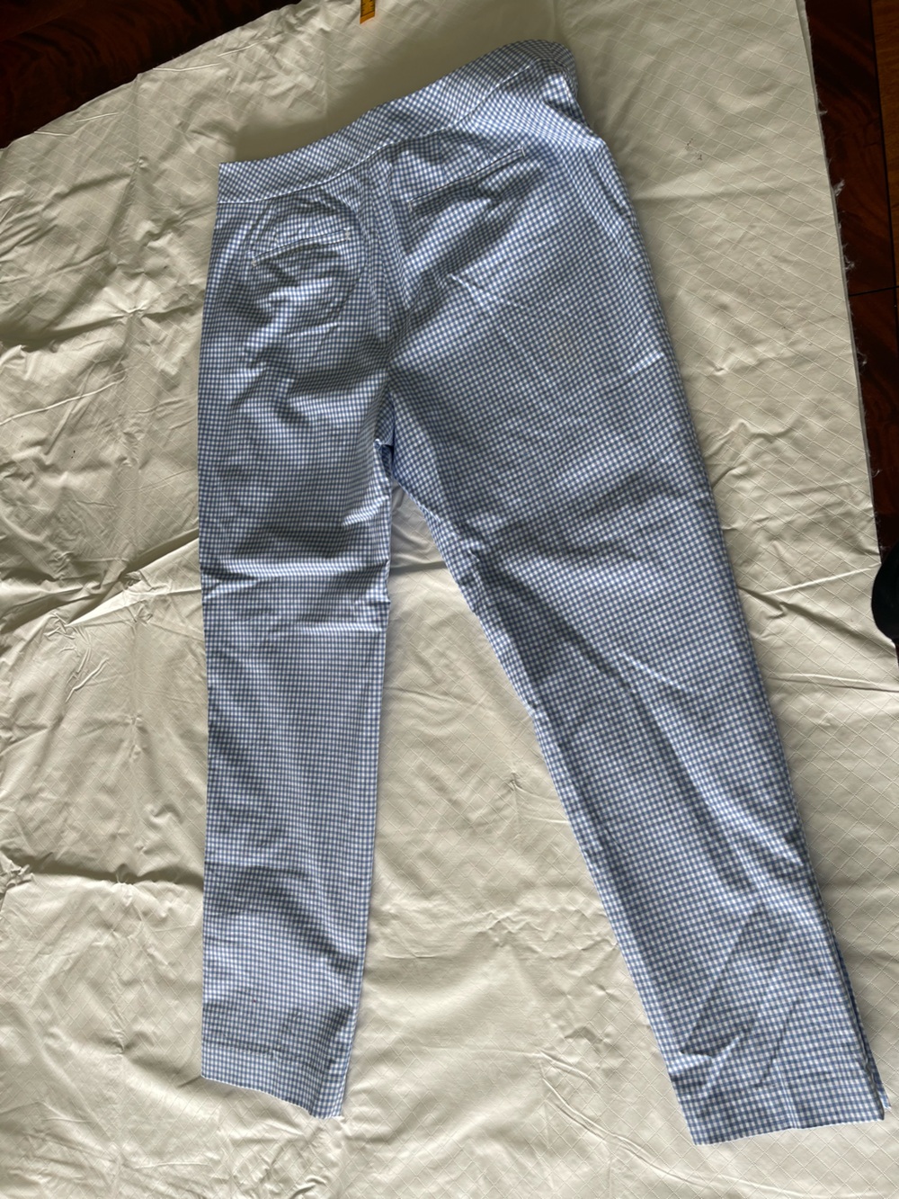 Talbots  Light Blue Gingham  Pants